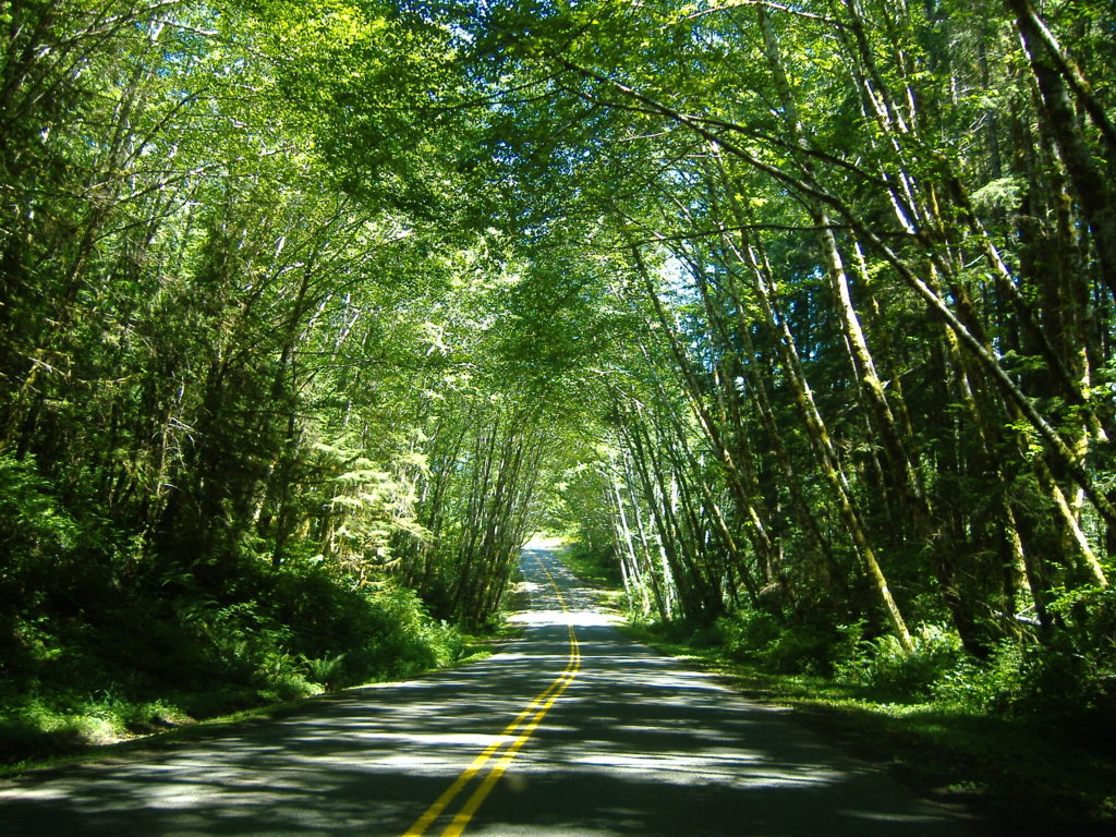 Long Road